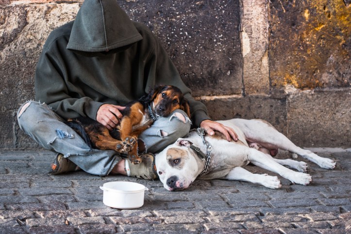 homeless-with-dogs