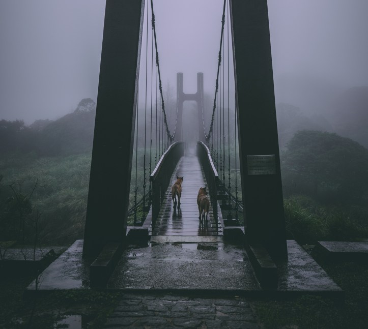 timothy-chan-DFa_0BN9P6U-unsplash